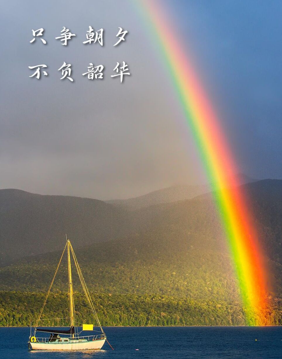 家诚zzzz