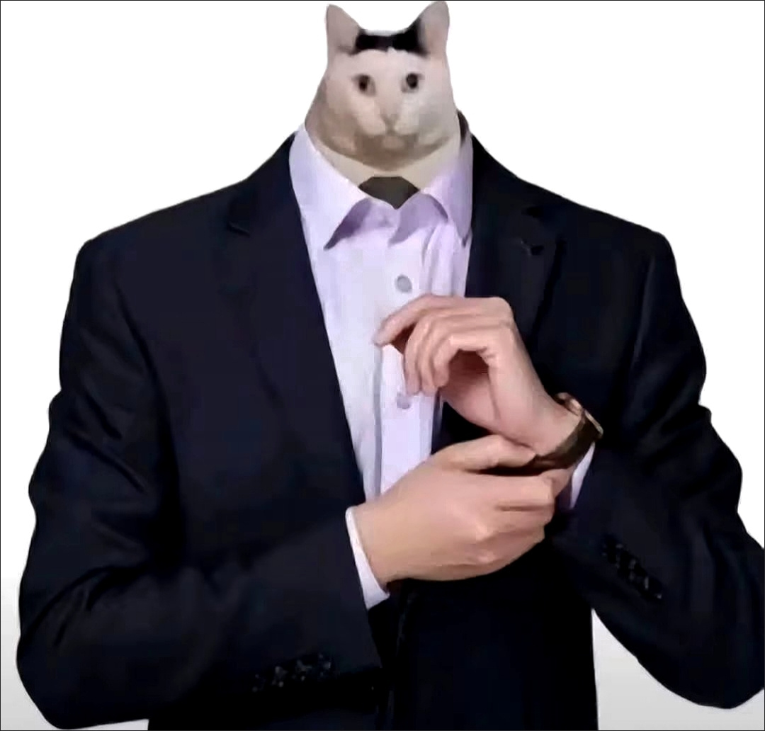 10255102460